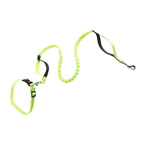 FOMIYES Hundespielzeug Zum Spazierengehen Seile Für Hunde Einziehbares Haustierhalsband Elastische Leine Hundetrainingsleine Outdoor-Hund Zum Spazierengehen FOMIYES Hundespielzeug Zum Spazierengehen Seile Für Hunde Einziehbares Haustierhalsband Elastische Leine Hundetrainingsleine Outdoor-Hund Zum Spazierengehen von FOMIYES