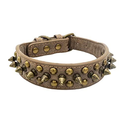 FOMIYES Hundehalsband Mit Nieten Grau Größe Xs – Haustierhalsband Mit Rundem Nagel Für Modischen Tierbedarf von FOMIYES