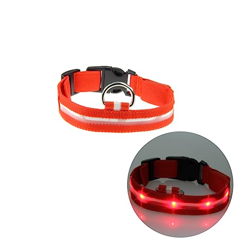 FOMIYES LED-Hundehalsband Sicherheits Halsband für Hunde Nachtsicherheitshalsband für Haustiere Haustierhalsband aus Nylon LED-Haustierhalsband blinkendes Haustierhalsband Rundhals von FOMIYES