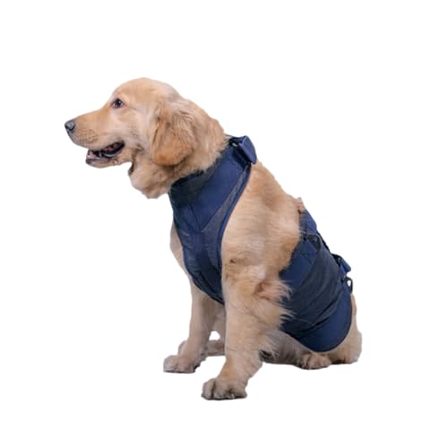 FOMIYES Hundeleine Geschirr Medizinischer Gürtel des Hundes Hundehebehilfe Hundehalsband Hundeschlinge Hundeschlaufgurt Hund Gehen Stützschlinge Hundelift-assistent Kettenblatt Haustier FOMIYES Hundeleine Geschirr Medizinischer Gürtel des Hundes Hundehebehilfe Hundehalsband Hundeschlinge Hundeschlaufgurt Hund Gehen Stützschlinge Hundelift-assistent Kettenblatt Haustier von FOMIYES