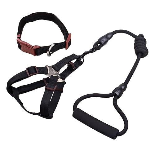 FOMIYES Satz Haustier Leinengeschirr Kragen Seilgeschirr Geschirr Gürtel Hundegeschirr und Leine Hundeleine Gurt Brustbedeckung FOMIYES Satz Haustier Leinengeschirr Kragen Seilgeschirr Geschirr Gürtel Hundegeschirr und Leine Hundeleine Gurt Brustbedeckung von FOMIYES
