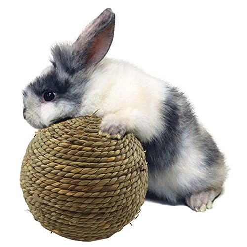 FOMIYES Handgefertigte Kau Spielbälle Aus Natürlichem Gras Für Kleintiere Spielzeug Für Kaninchen Meerschweinchen Und Kleine Haustiere Sicher Und von FOMIYES