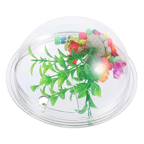 FOMIYES Hydroponische Vase Wandpflanzgefäß Acryl Aquarium-Dekorationen für Die Inneneinrichtung Pflegen Pflanzenliebhaber FOMIYES Hydroponische Vase Wandpflanzgefäß Acryl Aquarium-Dekorationen für Die Inneneinrichtung Pflegen Pflanzenliebhaber von FOMIYES
