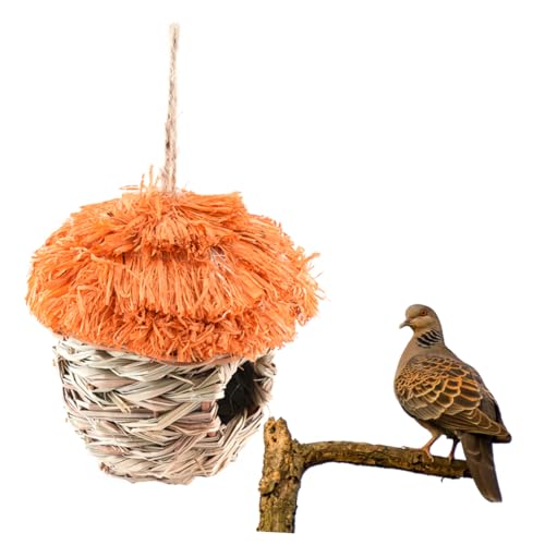 FOMIYES Abfallschaufel Metall aus Stroh geflochtenes Nest Katzenkotmatte mit Wand Hamsterbad Toilette handlocher Handmade Vogelhaus handgewebtes Vogelnest Papagei das Vogelnest Hamsterhaus FOMIYES Abfallschaufel Metall aus Stroh geflochtenes Nest Katzenkotmatte mit Wand Hamsterbad Toilette handlocher Handmade Vogelhaus handgewebtes Vogelnest Papagei das Vogelnest Hamsterhaus von FOMIYES