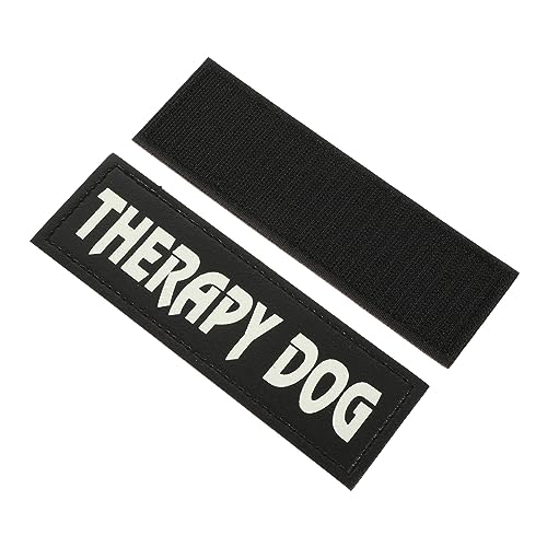 FONDOTIN Stilvolle Im Dunkeln Leuchtende Haustier-Tragetasche – Reflektierendes Hundewesten-Patch-Tag 1 Paar Für Den Alltag Und Besondere Anlässe von FONDOTIN
