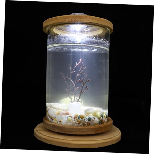 FONDOTIN 1satz Dekoratives Aquarium Für Schreibtisch Transparentes Fischbecken Aus Gehärtetem Drehendes Design Mit -Beleuchtung Für Schlafzimmer Wohnzimmer Und Büro-Dekoration von FONDOTIN