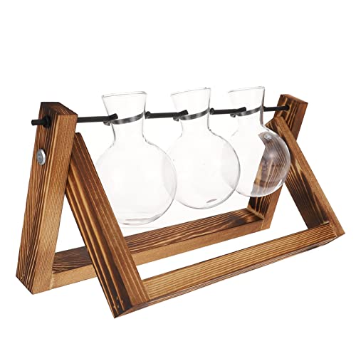 FONDOTIN 1 Satz Hydroponischer Behälter Luftpflanzen Drinnen Wasser Terrarienpflanze Für Vasen Hydroponische Pflanzen Anlage Einmachgläser Pflanzenterrarium Ausbreitungsstationen Glas von FONDOTIN