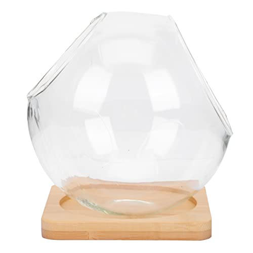 FONDOTIN 1 Satz Ökologische Mikrolandschaftsflasche Dekorativ Terrarienglas glasbehälter mit holzdeckel Easy putz hochzeitsdeko saftiger Blumentopf aus Glas Mikro-Landschaftsvase hölzern FONDOTIN 1 Satz Ökologische Mikrolandschaftsflasche Dekorativ Terrarienglas glasbehälter mit holzdeckel Easy putz hochzeitsdeko saftiger Blumentopf aus Glas Mikro-Landschaftsvase hölzern von FONDOTIN