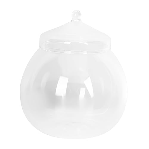 FONDOTIN 1 Satz Ökologische Mikrolandschaftsflasche Wohnkultur Terrarienschale Mit Deckel Anlage Pflanzen Drinnen Container Saftig Mikrolandschaftshalter Mikro-landschaftsbehälter Glas von FONDOTIN