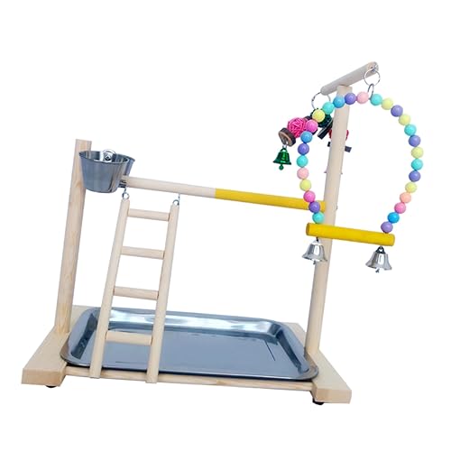 FONDOTIN Papagei Stand Spielzeug Pet Training Stand Rack Für Vogel Nymphensittich Spielen Zufällige Farbe FONDOTIN Papagei Stand Spielzeug Pet Training Stand Rack Für Vogel Nymphensittich Spielen Zufällige Farbe von FONDOTIN