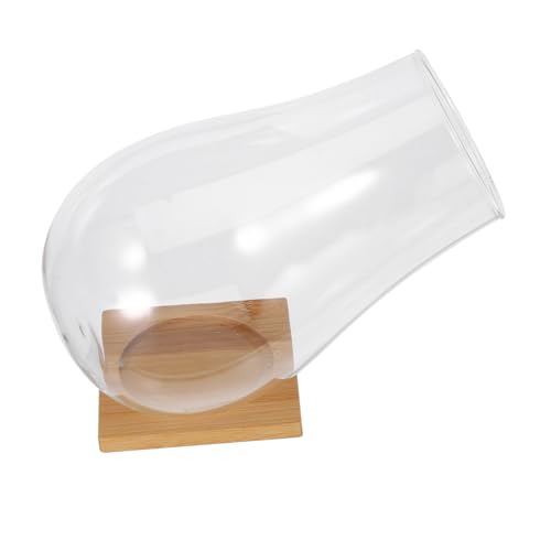 FONDOTIN 1 Satz Pflanzenterrarium Micro-Landschaftscontainer Mikro-Landschaftsflasche Pflanzenflasche aus Glas Landschaftsbehälter Landschaft Flasche Pflanzen Flasche Bambus Transparent FONDOTIN 1 Satz Pflanzenterrarium Micro-Landschaftscontainer Mikro-Landschaftsflasche Pflanzenflasche aus Glas Landschaftsbehälter Landschaft Flasche Pflanzen Flasche Bambus Transparent von FONDOTIN