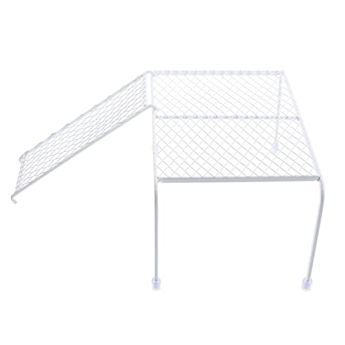 FONDOTIN Hühnerkäfig-plattform Hühnerspielzeug Tränke-Set Für Ziervögel FONDOTIN Hühnerkäfig-plattform Hühnerspielzeug Tränke-Set Für Ziervögel von FONDOTIN