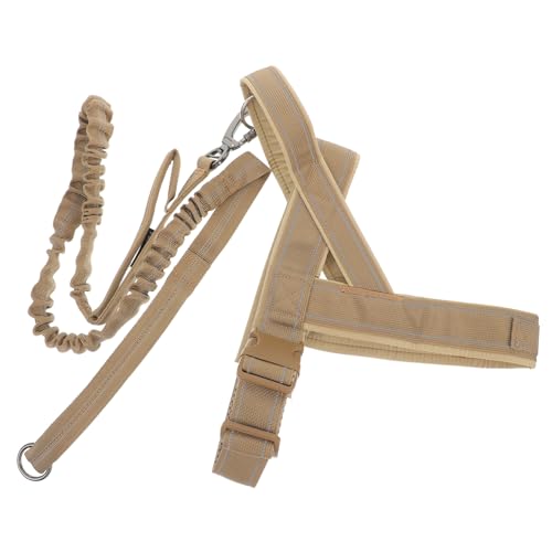 FONDOTIN Leine für Haustier Halsband und Leine Set Multifunktionale Hundeweste von FONDOTIN