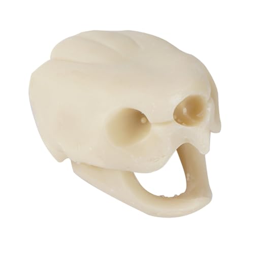 FONDOTIN 1 Stück Schildkröten-Schädel-Ornamente Weißes Aquarium-Ornament Fisch Aquarium Dekoration Aquarium Accessory Aquarium Accessories gefälschter - Simulationsdekor Harz von FONDOTIN