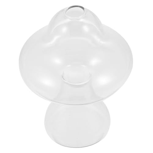 FONDOTIN 1 Stück Tischvase Wohnkultur Leben groß Vasen Wasserpflanzen bürodeko büro Dekoration vases Blumenhalter für zu Hause Heimdekoration Glas mit hohem Borosilikatgehalt Transparent von FONDOTIN
