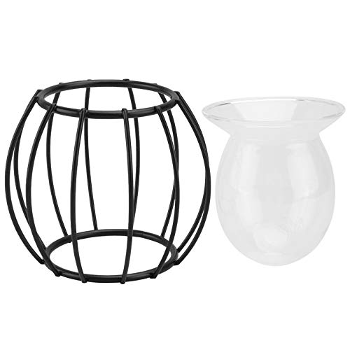 FONDOTIN 1 Stück hydroponische Vase bürodeko büro Dekoration Zimmerpflanzen Dekoration hydroponic vase pflanzendeko Schreibtisch Wasser Kreativer Blumenpot Haushalt Blumentopf Glas Black von FONDOTIN