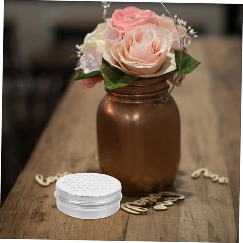 FONDOTIN 10 Stück Aluminium Aromatherapie dose mit Lochdeckel Luftdurchlässig für Hundegeruchstraining Langlebige Aufbewahrungsbox für Duftperlen Vielseitig Einsetzbar im Haushalt und Büro von FONDOTIN