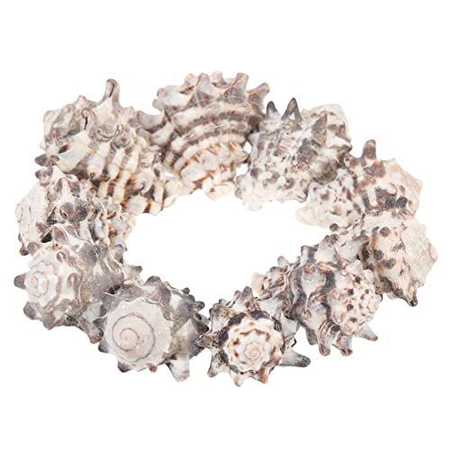 FONDOTIN 10 Stück Aquarium Landschaftsbau Muschel Dekoration Tank Muscheln Hülse Natürliche Muschel Schnecken Ornamente Muschelschalen-Ornamente Dekore aus Einsiedlerkrebsschalen Schrauben von FONDOTIN