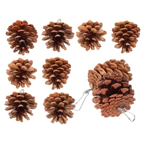 FONDOTIN 10 Stück Teiliges Natürliches Kauspielzeug aus Robusten Kiefernzapfen für Große Vögel Hängendes Papageienspielzeug zum Schnabelschleifen Geeignet für Wellensittiche FONDOTIN 10 Stück Teiliges Natürliches Kauspielzeug aus Robusten Kiefernzapfen für Große Vögel Hängendes Papageienspielzeug zum Schnabelschleifen Geeignet für Wellensittiche von FONDOTIN