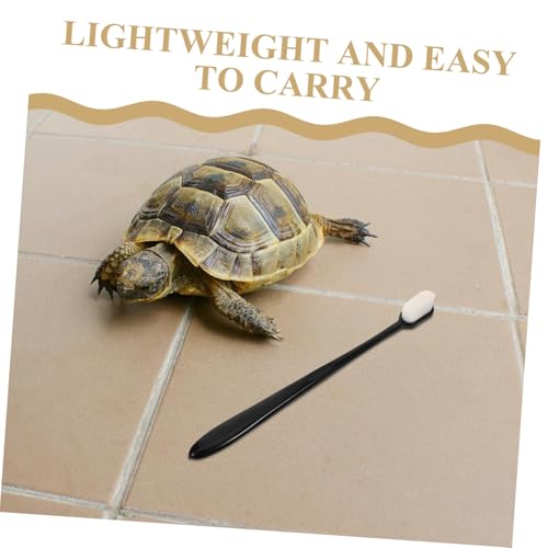 FONDOTIN 10 Stück Teiliges Schildkrötenpflegebürsten Langem Griff Effektive Reinigung von Panzer und Unterseite Langlebig und Hygienisch für Terrarien und Reptilienzubehör von FONDOTIN