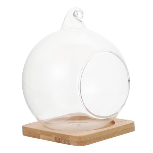 FONDOTIN Hängender Terrariumbehälter Aus Glas DIY-Terrarium-hängeflasche Kleiner Pflanzenglasbehälter Landschaften Haushalts-landschaftsglasflasche Zur Dekoration FONDOTIN Hängender Terrariumbehälter Aus Glas DIY-Terrarium-hängeflasche Kleiner Pflanzenglasbehälter Landschaften Haushalts-landschaftsglasflasche Zur Dekoration von FONDOTIN