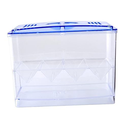 FONDOTIN Fisch-inkubationsbox Selbstschwimmende Isolationsbox Für Fische Zum Schlüpfen Für Die Pflege Von Haustierfischen FONDOTIN Fisch-inkubationsbox Selbstschwimmende Isolationsbox Für Fische Zum Schlüpfen Für Die Pflege Von Haustierfischen von FONDOTIN