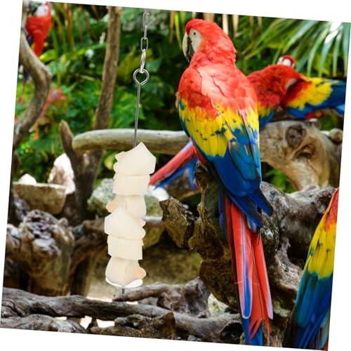 FONDOTIN 2 Stück Edelstahl Vogel Futtergabel Rostfrei Praktische Fruchtpick für Wildvögel und Papageien Multifunktional Leicht zu Halten für Obstschnitze und Gemüsefütterung von FONDOTIN