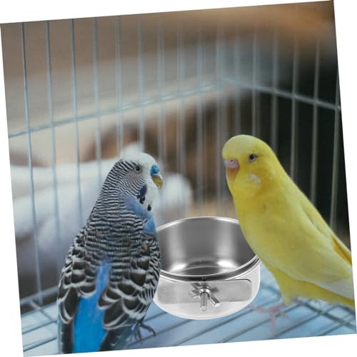 FONDOTIN 2 Stück Futternapf für Vögel Einfache mit Einzelschraube Geeignet für Papageien und Wellensittiche Kompatibel mit Vogelkäfigen Leicht zu Reinigen und Langlebig FONDOTIN 2 Stück Futternapf für Vögel Einfache mit Einzelschraube Geeignet für Papageien und Wellensittiche Kompatibel mit Vogelkäfigen Leicht zu Reinigen und Langlebig von FONDOTIN