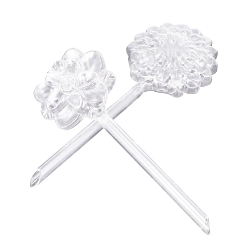 FONDOTIN 2 Stück Glastränke zimmerpflanzen pflanzenzubehör Garden Decor pflanzenzuberhör Automatische Bewässerung Selbstbewässerung groß Anlage drinnen Gartenwasserer Gießbirnen aus Glas von FONDOTIN
