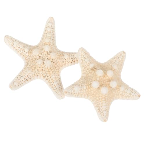 FONDOTIN 2 Stück Natürliche Seesterne DIY Dekorationen Ozeanischer Stil Vielseitiger Schmuck für Aquarium Glasvase Handwerksprojekte Gelb Maritimer Dekor Geschenkidee von FONDOTIN