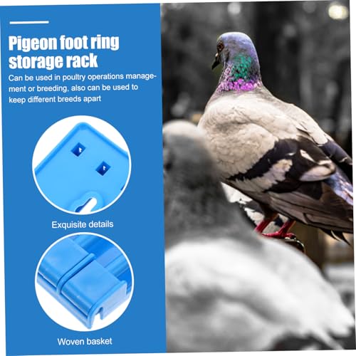 FONDOTIN 2 Stück Pigeon Ring Frame aus Verschleißfestem Material Farblich Sortiert Blau Grün Organisierter Halter für Brieftaubenringe Geeignet für Geflügelmanagement und Taubenzucht FONDOTIN 2 Stück Pigeon Ring Frame aus Verschleißfestem Material Farblich Sortiert Blau Grün Organisierter Halter für Brieftaubenringe Geeignet für Geflügelmanagement und Taubenzucht von FONDOTIN
