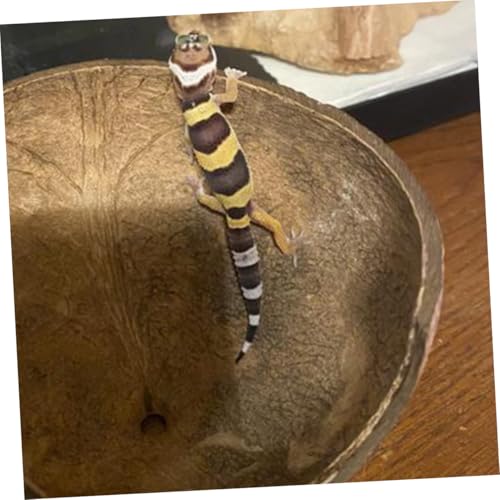 FONDOTIN 2 Stück Widerstandsfähige Resin Reptilienhöhlen Terrarium Verstecke für Eidechsen Schildkröten mit Natürlicher Kokosnussoberfläche Multifunktional als Rückzugsort und Deko FONDOTIN 2 Stück Widerstandsfähige Resin Reptilienhöhlen Terrarium Verstecke für Eidechsen Schildkröten mit Natürlicher Kokosnussoberfläche Multifunktional als Rückzugsort und Deko von FONDOTIN
