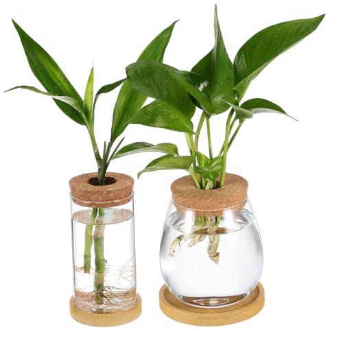 FONDOTIN 2 Stück hydroponische Pflanzenvase glasgarten wasserpflanzen Hydroponische Pflanzgefäße zimmerpflanzen Liner Gitter Tank Vermehrte Pflanzengläser Pflanzentopf aus Glas Transparent von FONDOTIN