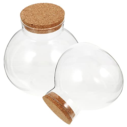 FONDOTIN 2stücke Sphärische Terrarium Flasche Ökologisches Glasgefäß Für Mikrolandschaften Für Pflanzen Und Dekoration Mit Korkdeckel Ohne Licht von FONDOTIN