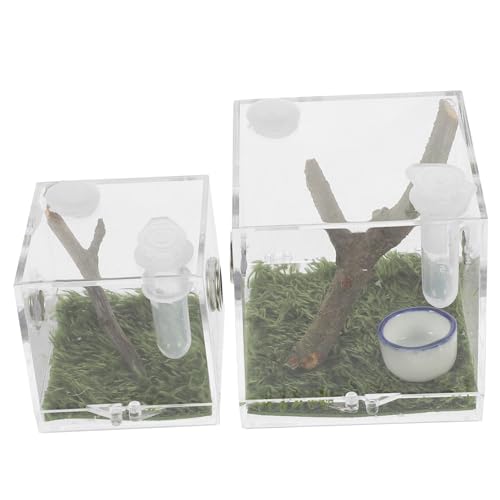 FONDOTIN 2Stücke Transparente Spinnen Zuchtbox Kleine Futterbox für Insekten Habitat für Springspinnen mit Futteröffnung und Sicherem Deckel die Aufzucht und Pflege von FONDOTIN
