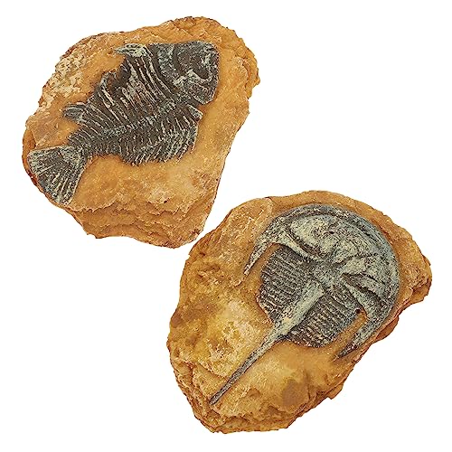 FONDOTIN Kreatives Reptilien-dekorationsset Eidechsen-Box-Ornamente Gecko-Box-Ornamente Für Terrarium- Dekorative Landschaft Zu Hause von FONDOTIN