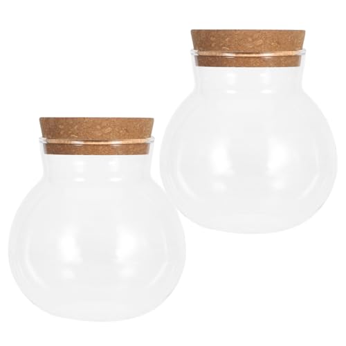 FONDOTIN 2pcs Glas Terrarium Vasen Hydroponische Pflanzenbehälter Pflanzenverbreitungsgläser Transparenter Blütenpots Glashydroponic Vasen Für Office Desk (480 Ml) von FONDOTIN