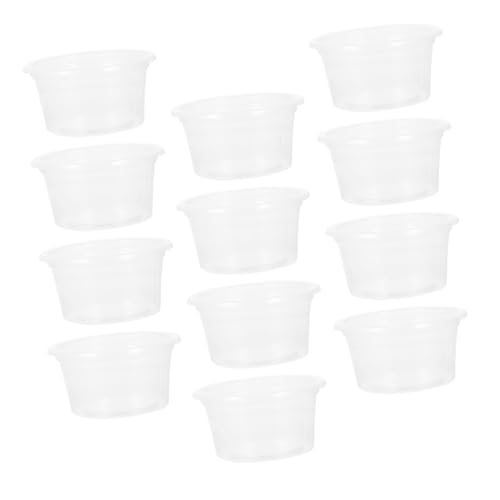 FONDOTIN 30stücke Teiliges Mit Futterschalen Und Wasserschalen Für Kleine Haustiere Geeignet Für Geckos Eidechsen Und Reptilien Inklusive Futter Und Wassernäpfen Für Reptilienbecken von FONDOTIN