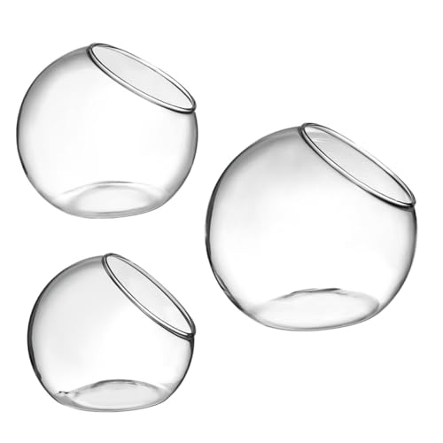 FONDOTIN 3Stücke Terrarium DIY Flasche für Sukkulenten Hochwertige Glasterrarium für Mooslandschaften Stilvolle Tischdeko für Wohnräume von FONDOTIN