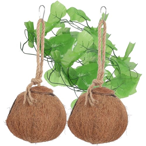 FONDOTIN 4stücke Kokosnussschale Reptiliennest Set Set Kokosnuss-Nest Kunstreben Für Eidechsen Und Baumleguane Installieren Platzsparend Als Spielplatz Oder Rückzugsort von FONDOTIN