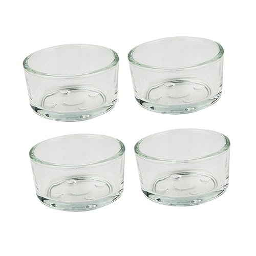 FONDOTIN 4 Stücke Reptil Feeder Wasser Gericht Glas Tiernahrung Schüssel Für Reptilien Eidechsen Robust von FONDOTIN