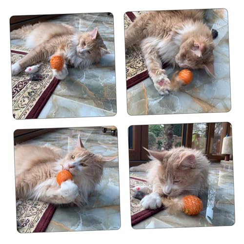FONDOTIN 4 Stück Haustier Katzenspielzeug Spule solides Kätzchen Katzenspielzeug für Haustiere Fußballpumpe Kratzendes Katzenspielzeug Federball der Katze FONDOTIN 4 Stück Haustier Katzenspielzeug Spule solides Kätzchen Katzenspielzeug für Haustiere Fußballpumpe Kratzendes Katzenspielzeug Federball der Katze von FONDOTIN