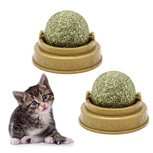 FONDOTIN 4 Stück Katzenbissball Katzensachen Verdauungsförderer Für Katzen Katze Behandelt Minzkugel Ballspielzeug Zum Aufkleben An Der Wand Katze Leckt Ball Katzensnacks Süßigkeiten Green FONDOTIN 4 Stück Katzenbissball Katzensachen Verdauungsförderer Für Katzen Katze Behandelt Minzkugel Ballspielzeug Zum Aufkleben An Der Wand Katze Leckt Ball Katzensnacks Süßigkeiten Green von FONDOTIN