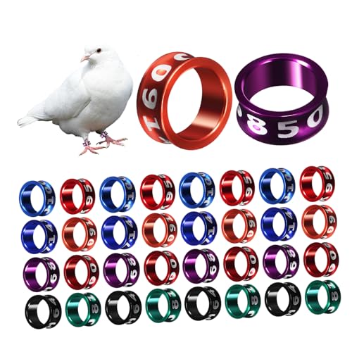 FONDOTIN 50 Stück Vogelbeinringe Nummerierte Hühnerbeinringe Papageien Tauben Ringe Bunte Farben für Vogelidentifikation und Markierung Geeignet für Verschiedene Vögel und Zufällige Farbe FONDOTIN 50 Stück Vogelbeinringe Nummerierte Hühnerbeinringe Papageien Tauben Ringe Bunte Farben für Vogelidentifikation und Markierung Geeignet für Verschiedene Vögel und Zufällige Farbe von FONDOTIN