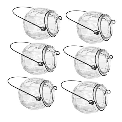 FONDOTIN 6er-Pack Wandtöpfe Zimmerpflanzen- Wandvasen Zum Aufhängen Luftpflanzen Hydrokultur-anzuchtgläser Blumendekor Für Zuhause Und Das Büro von FONDOTIN