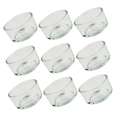 FONDOTIN Reptilien-wasserschalen-Set Glas-futterschale Für Eidechsen Schlangen Schildkröten von FONDOTIN