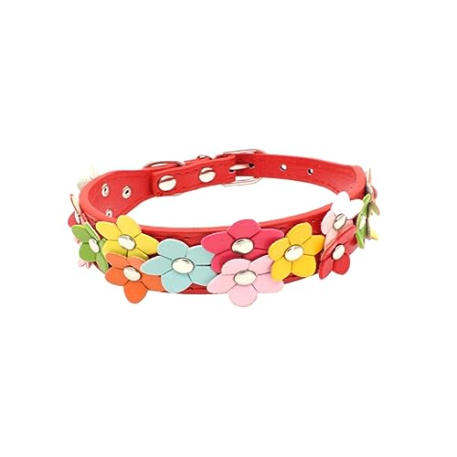 FONDOTIN Haustierhalsband Verstellbares Haustierhalsband Kragen De Kettenblatt Kleines Hundehalsband Haustier Hundekette Hundehalsband Klein Aquarium Doppelreihe Hundeleine Rot FONDOTIN Haustierhalsband Verstellbares Haustierhalsband Kragen De Kettenblatt Kleines Hundehalsband Haustier Hundekette Hundehalsband Klein Aquarium Doppelreihe Hundeleine Rot von FONDOTIN