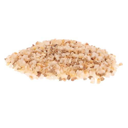 FONDOTIN Sukkulentensteine Kieselsteine für Pflanzen Dekorative Sandsteine für Kaktus und Bonsai Pflanzen Terrarien Deko 1 Beutel FONDOTIN Sukkulentensteine Kieselsteine für Pflanzen Dekorative Sandsteine für Kaktus und Bonsai Pflanzen Terrarien Deko 1 Beutel von FONDOTIN