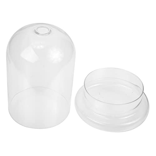 FONDOTIN DIY Glasterrarium Für Pflanzen Und Mikrolandschafts Ökologie Behälter Mit Transparent Vielseitig Einsetzbar Für Heimdekoration von FONDOTIN