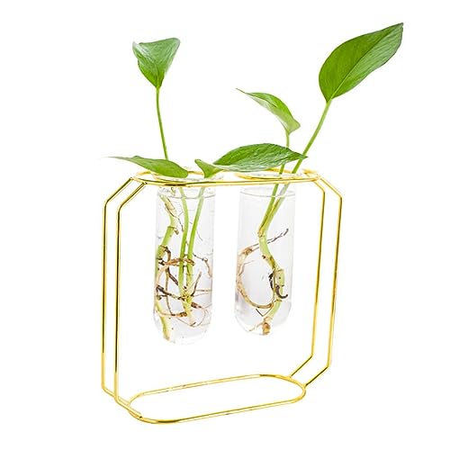 FONDOTIN Eisenrahmen Blumentopf Set Stilvolle Metallvase Für Pflanzenarrangements 2 Teiliges Glasgefäß Für Dekoration Im Wohnzimmer Und Büro Terrarium Blumentopf Für Tischdeko FONDOTIN Eisenrahmen Blumentopf Set Stilvolle Metallvase Für Pflanzenarrangements 2 Teiliges Glasgefäß Für Dekoration Im Wohnzimmer Und Büro Terrarium Blumentopf Für Tischdeko von FONDOTIN